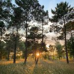 美国式禁忌3人伦 65uacds61t