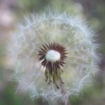 亚洲欧洲日产国码AV天堂 cn0xn