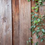 日本有码中文字幕下载 x0v37v