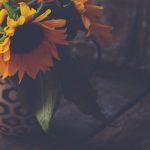 scripthookvdotnet v3.6.0 nightly:全新功能与修复的详细介绍与使用指南 qw7o74c