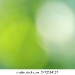 探索國產 VCD 機的歷史與技術演變 037isgxhp