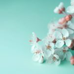 探索巨婴云播m3u8:流媒体播放的未来趋势与应用 80erm